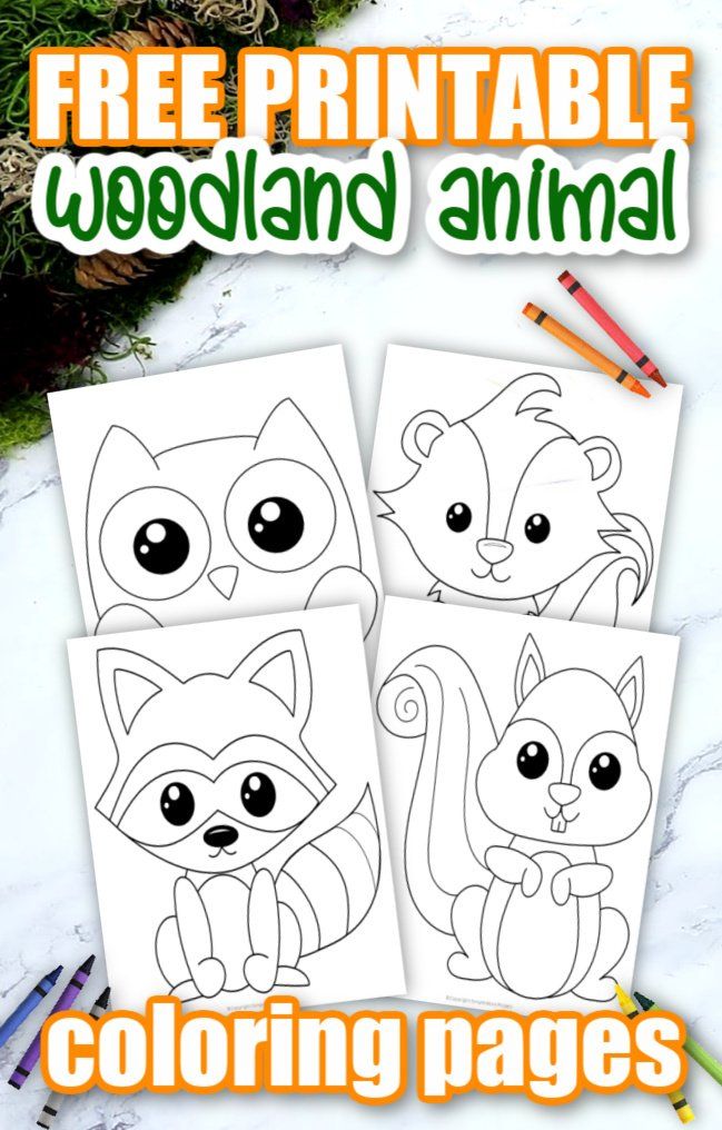 Woodland Creatures Coloring Pages 28