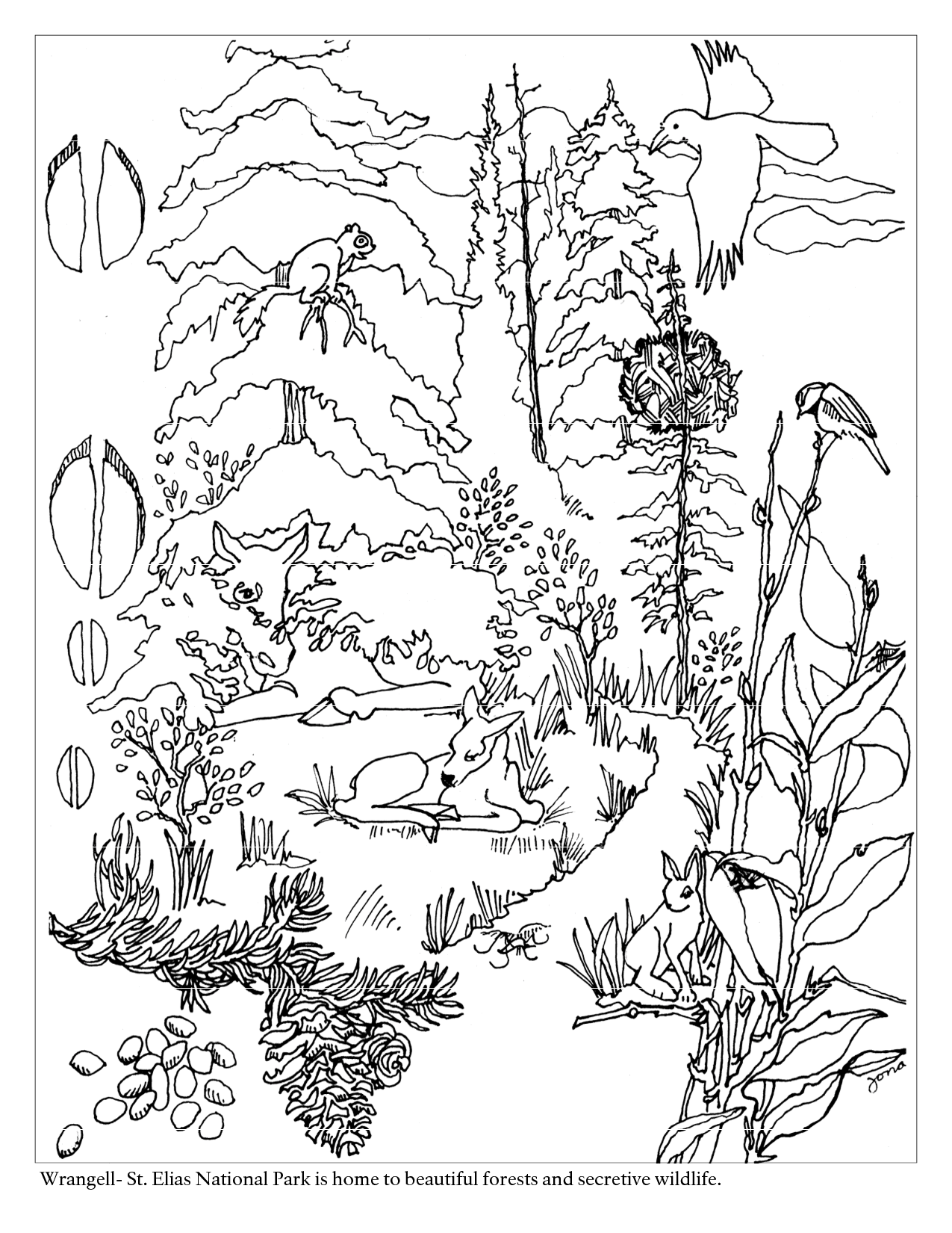Woodland Creatures Coloring Pages 3