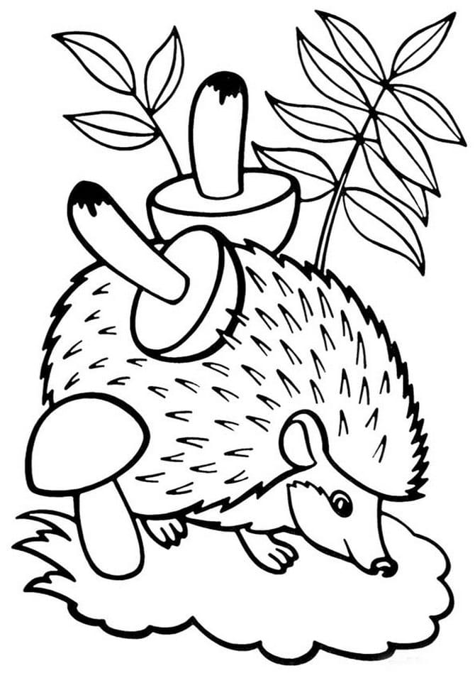 Woodland Creatures Coloring Pages 51