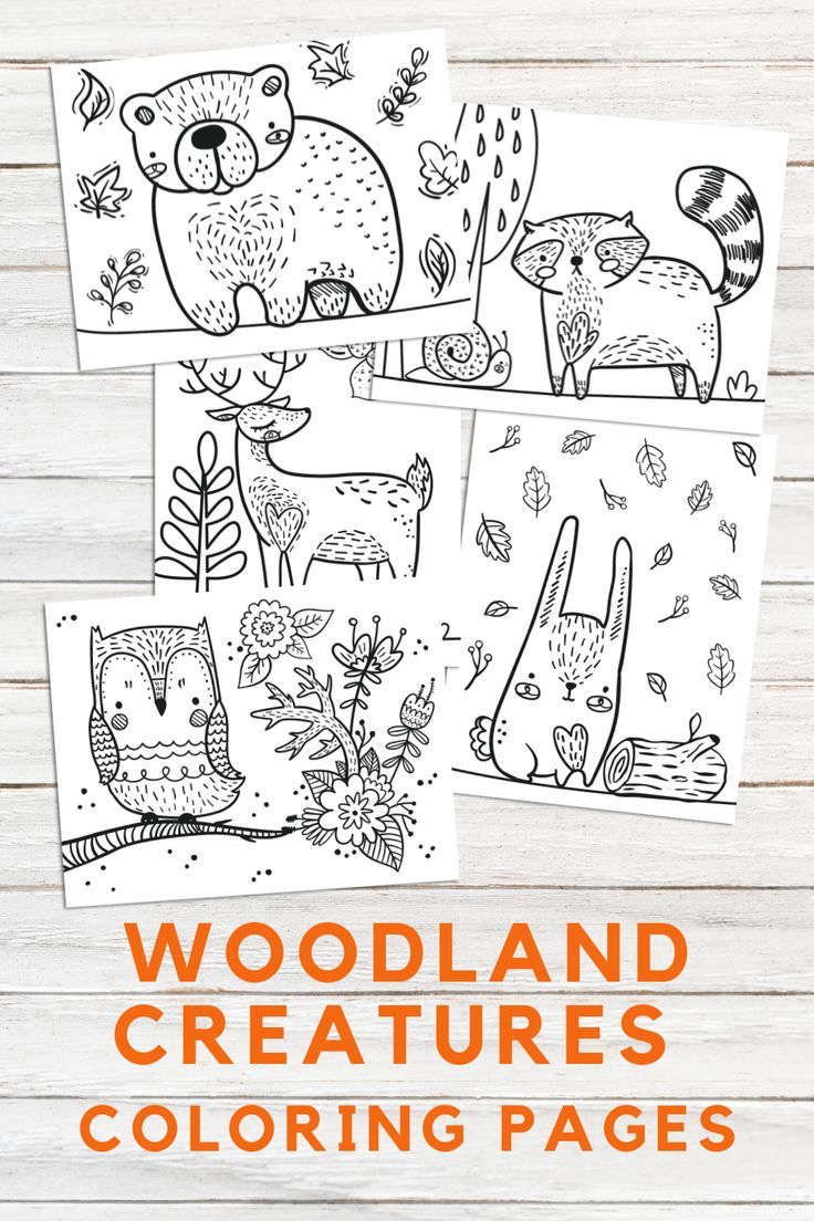 Woodland Creatures Coloring Pages 57