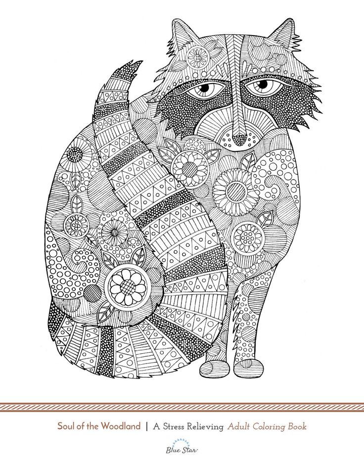 Woodland Creatures Coloring Pages 64