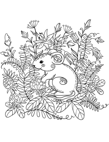 Woodland Creatures Coloring Pages 66