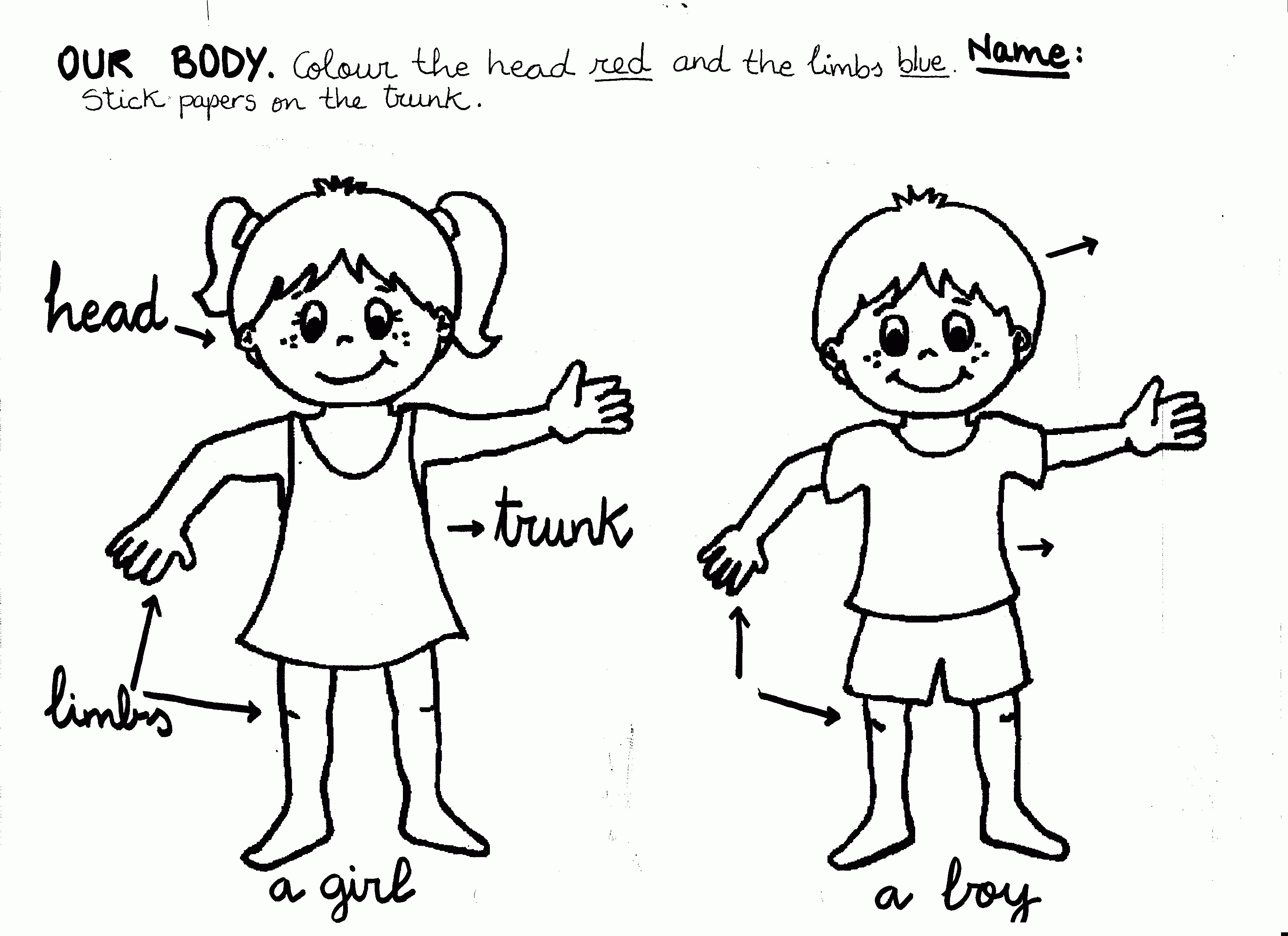 50 Human Body Coloring Book 15