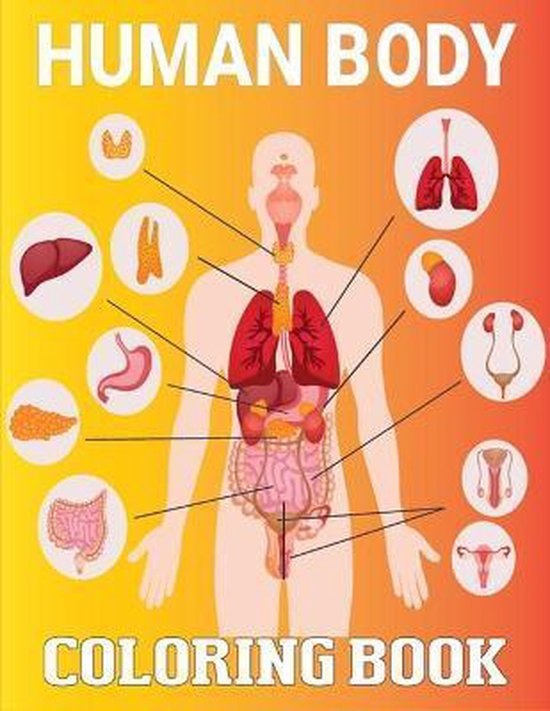 50 Human Body Coloring Book 22