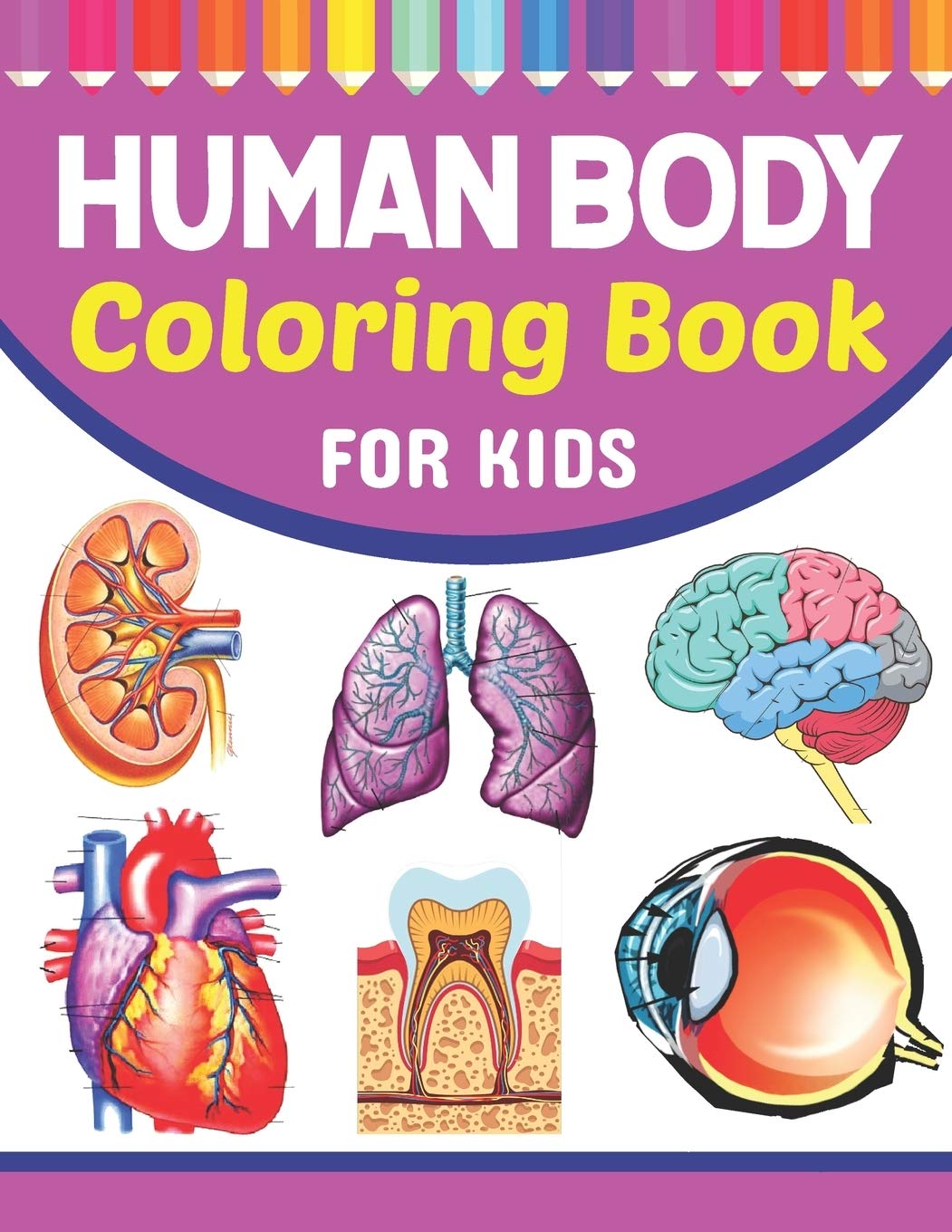50 Human Body Coloring Book 26