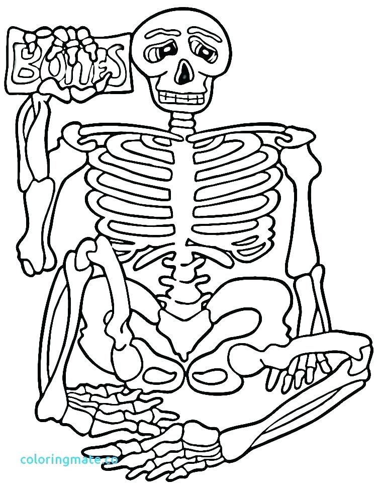 50 Human Body Coloring Book 30