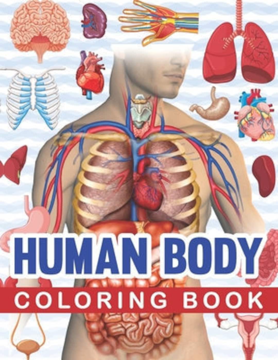 50 Human Body Coloring Book 32