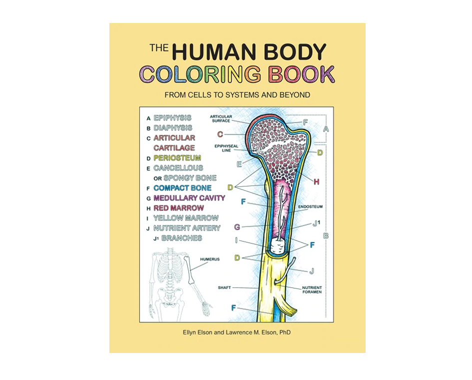 50 Human Body Coloring Book 33