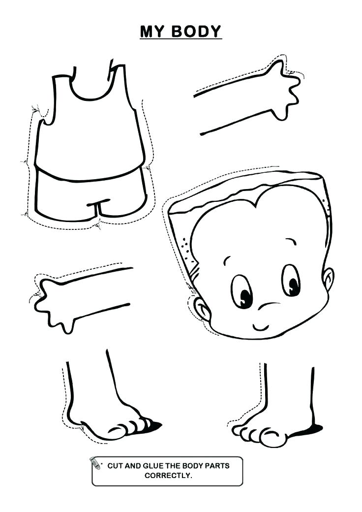 50 Human Body Coloring Book 37