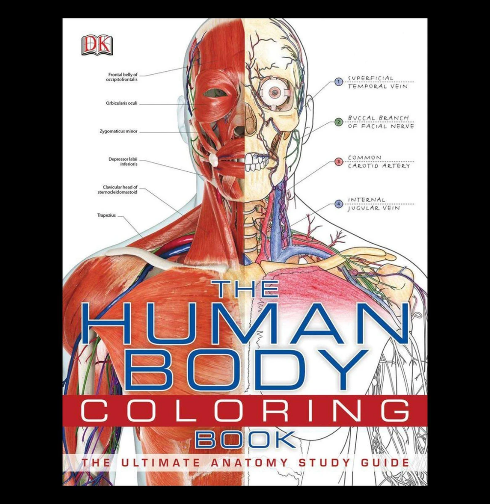 50 Human Body Coloring Book 38