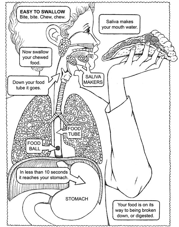 50 Human Body Coloring Book 41