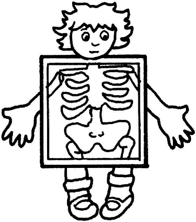 50 Human Body Coloring Book 43
