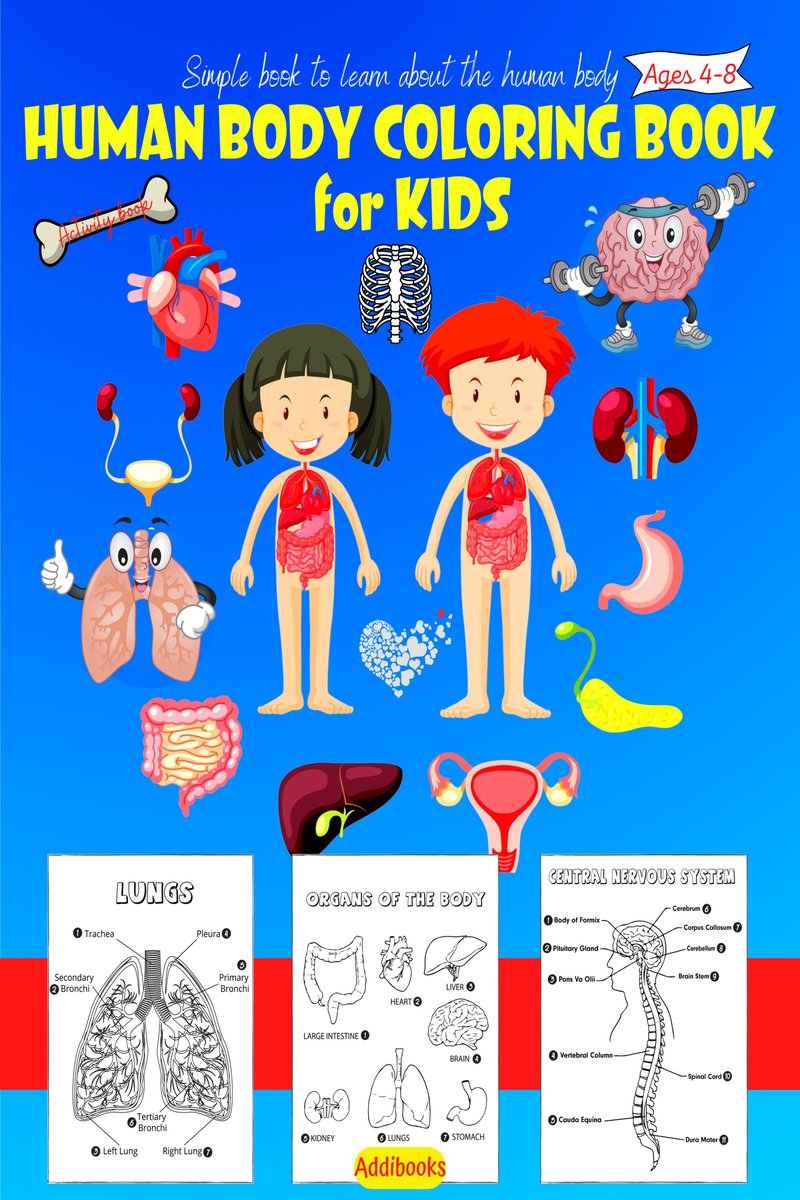 50 Human Body Coloring Book 45