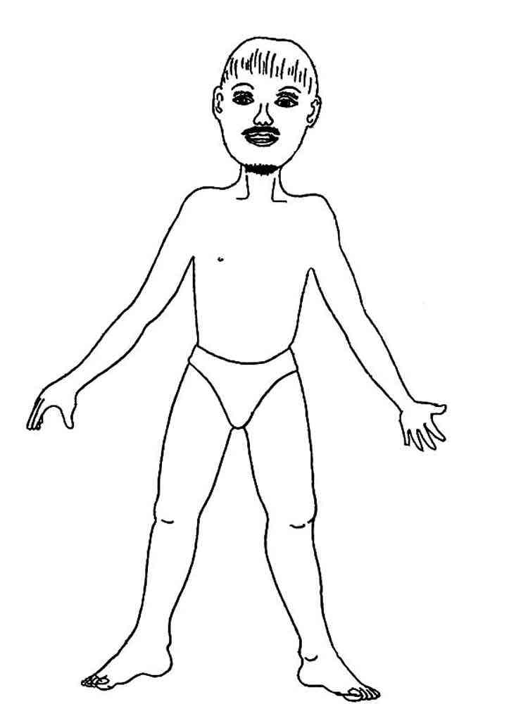 50 Human Body Coloring Book 48