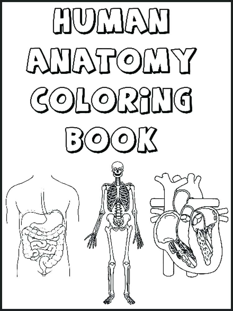 50 Human Body Coloring Book 52