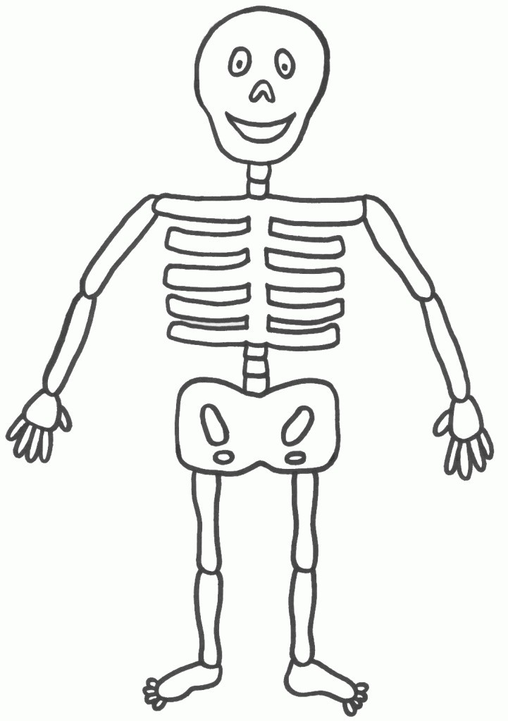 50 Human Body Coloring Book 58