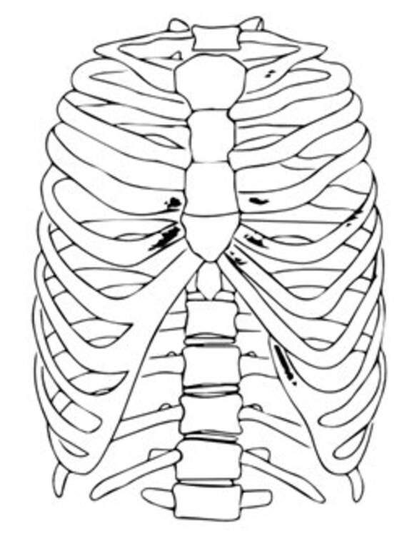 50 Human Body Coloring Book 6