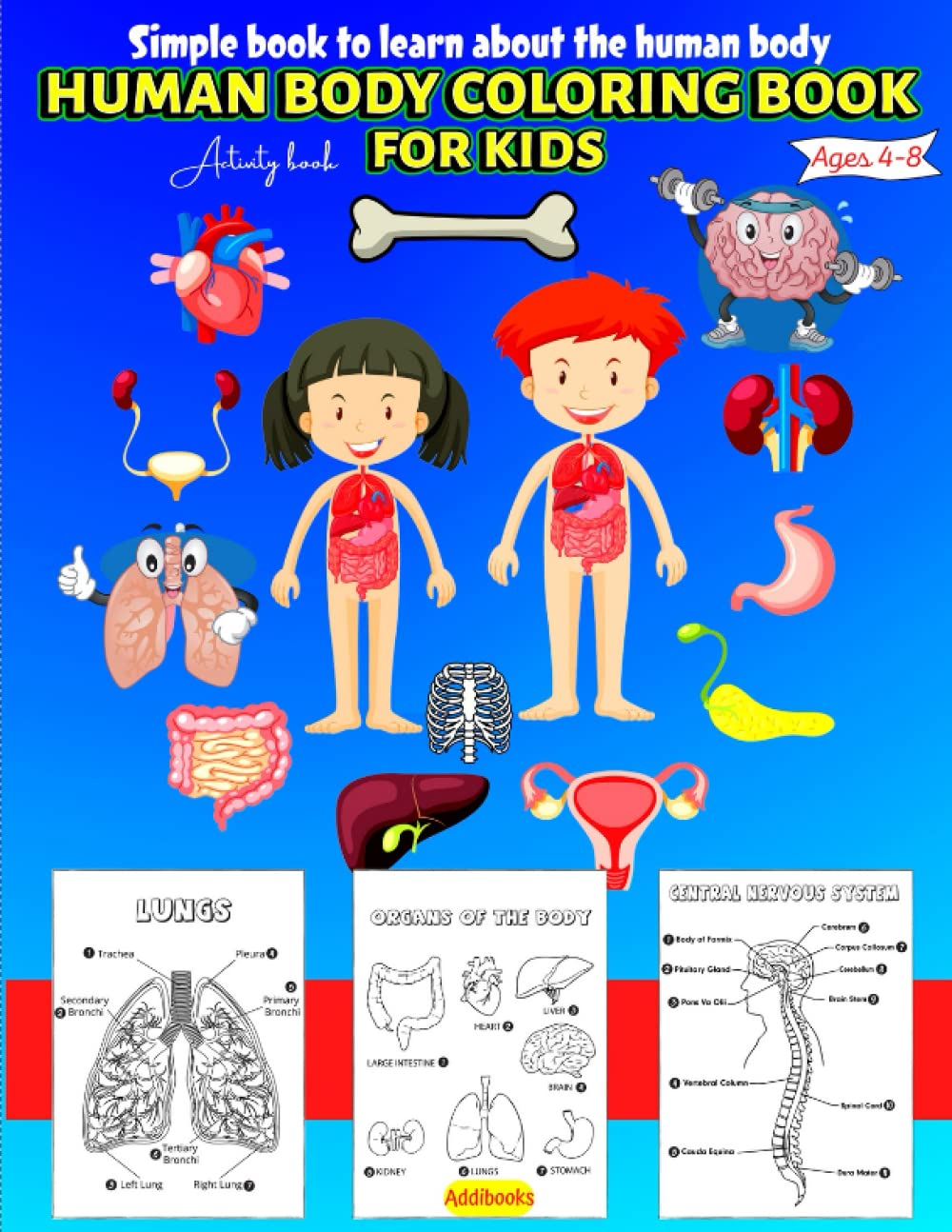 50 Human Body Coloring Book 62