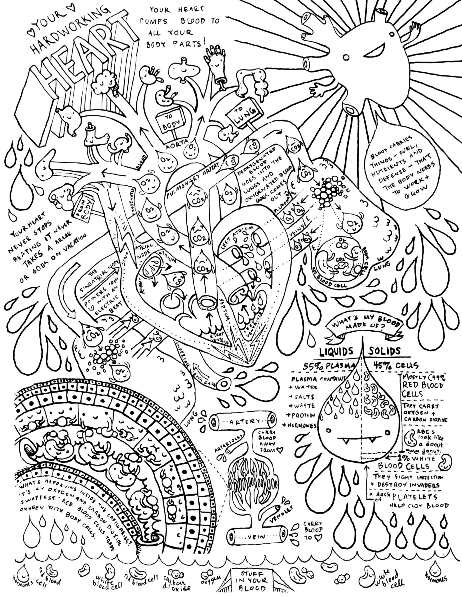 50 Human Body Coloring Book 65