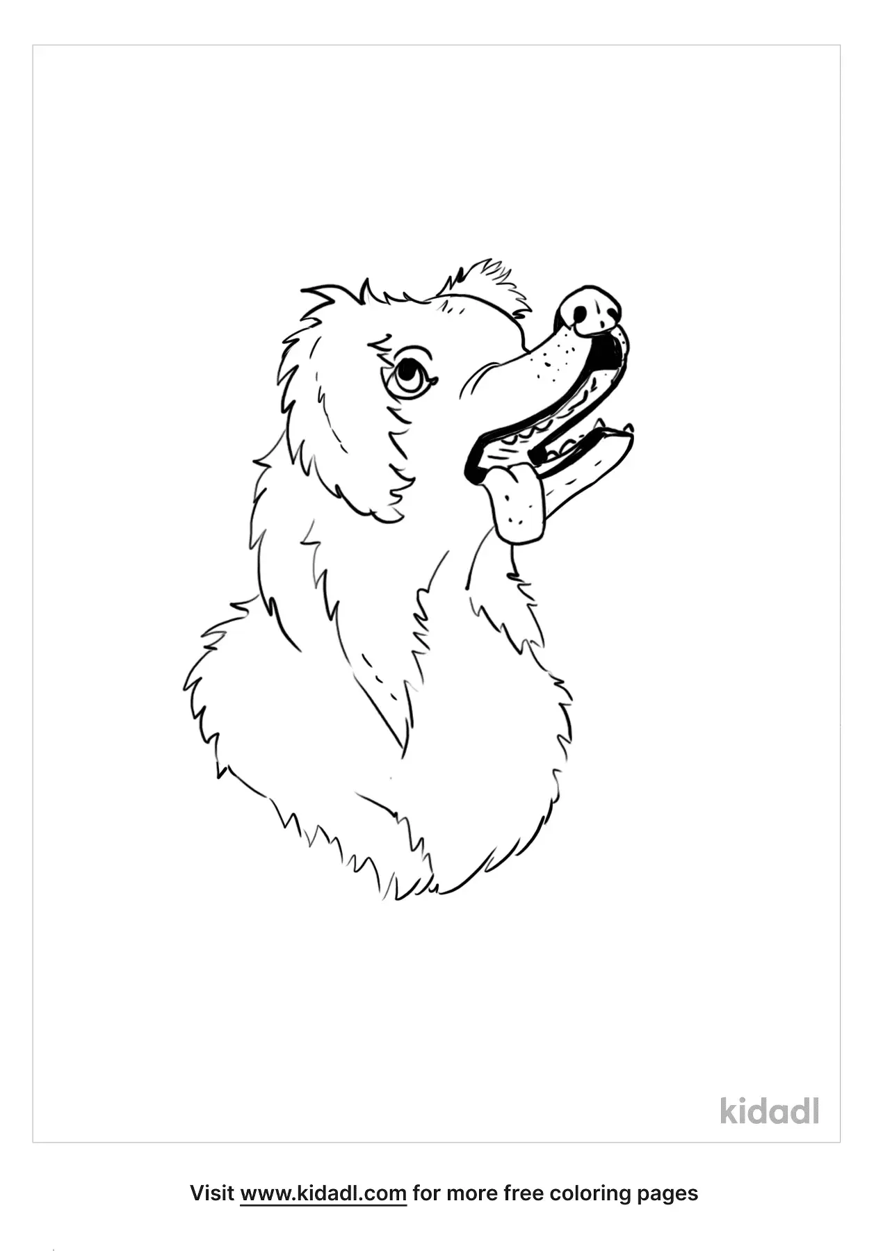 51 Australian Shepherd Coloring Page 15