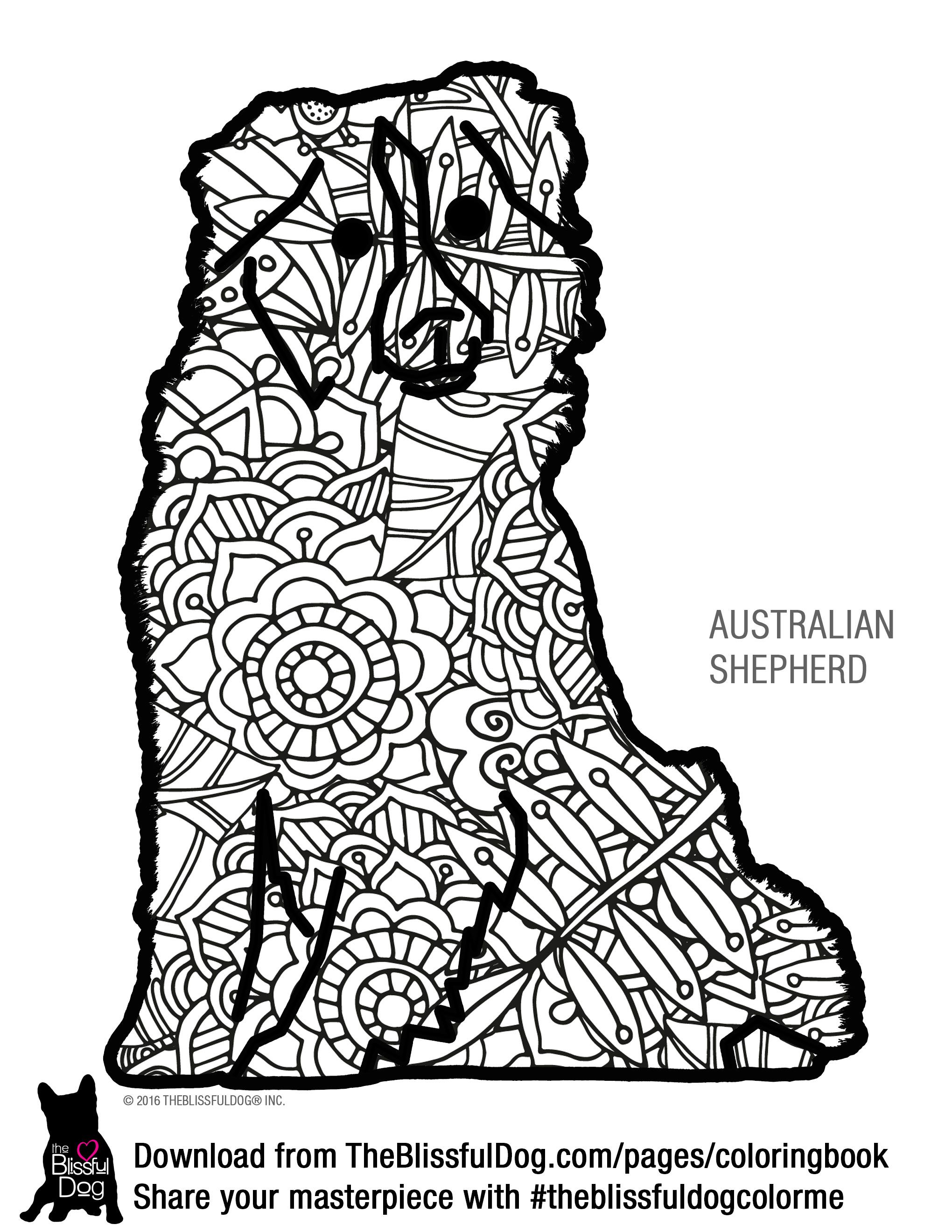 51 Australian Shepherd Coloring Page 17