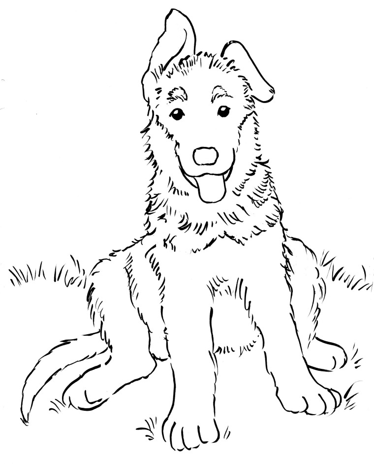51 Australian Shepherd Coloring Page 19