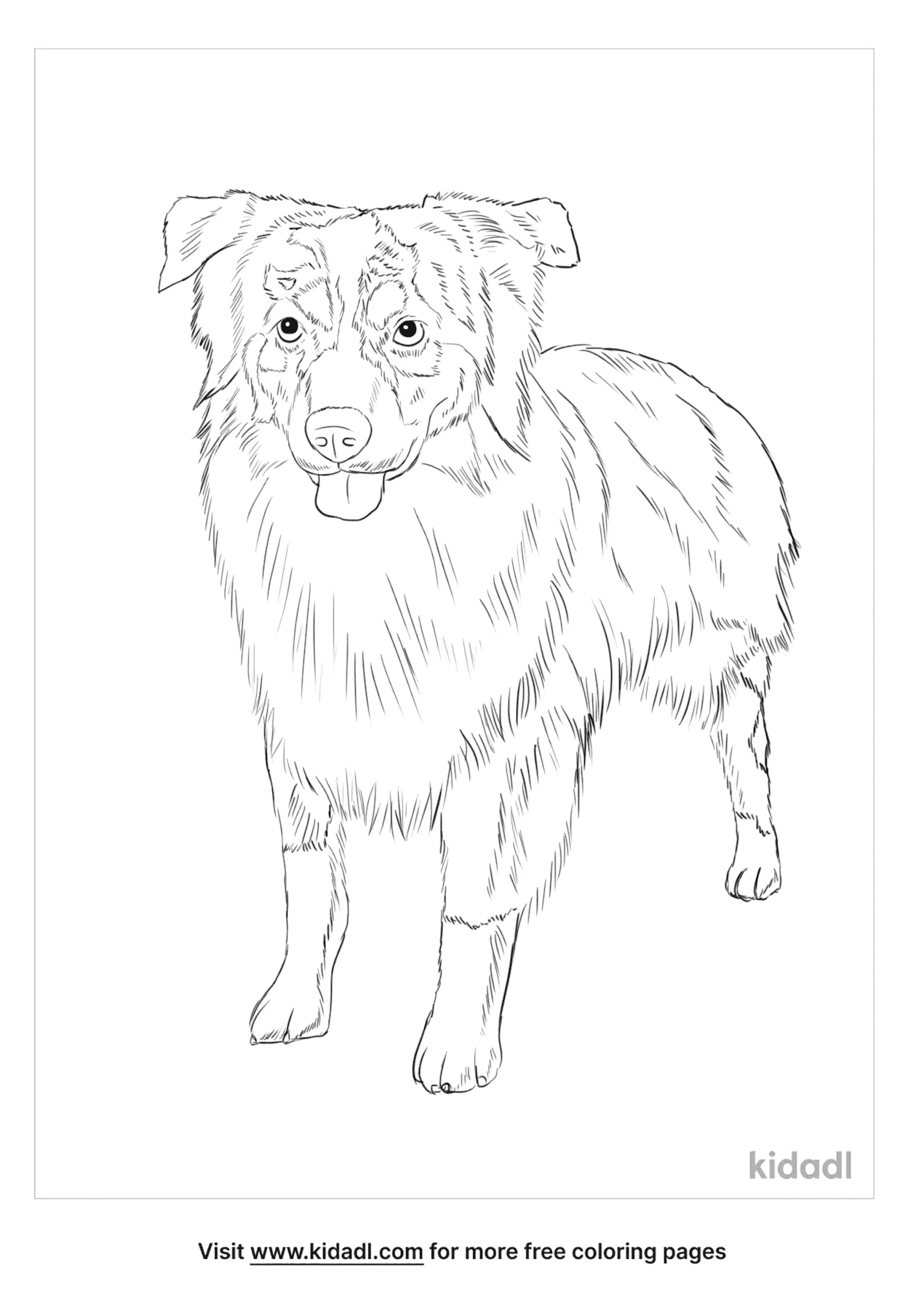 51 Australian Shepherd Coloring Page 46