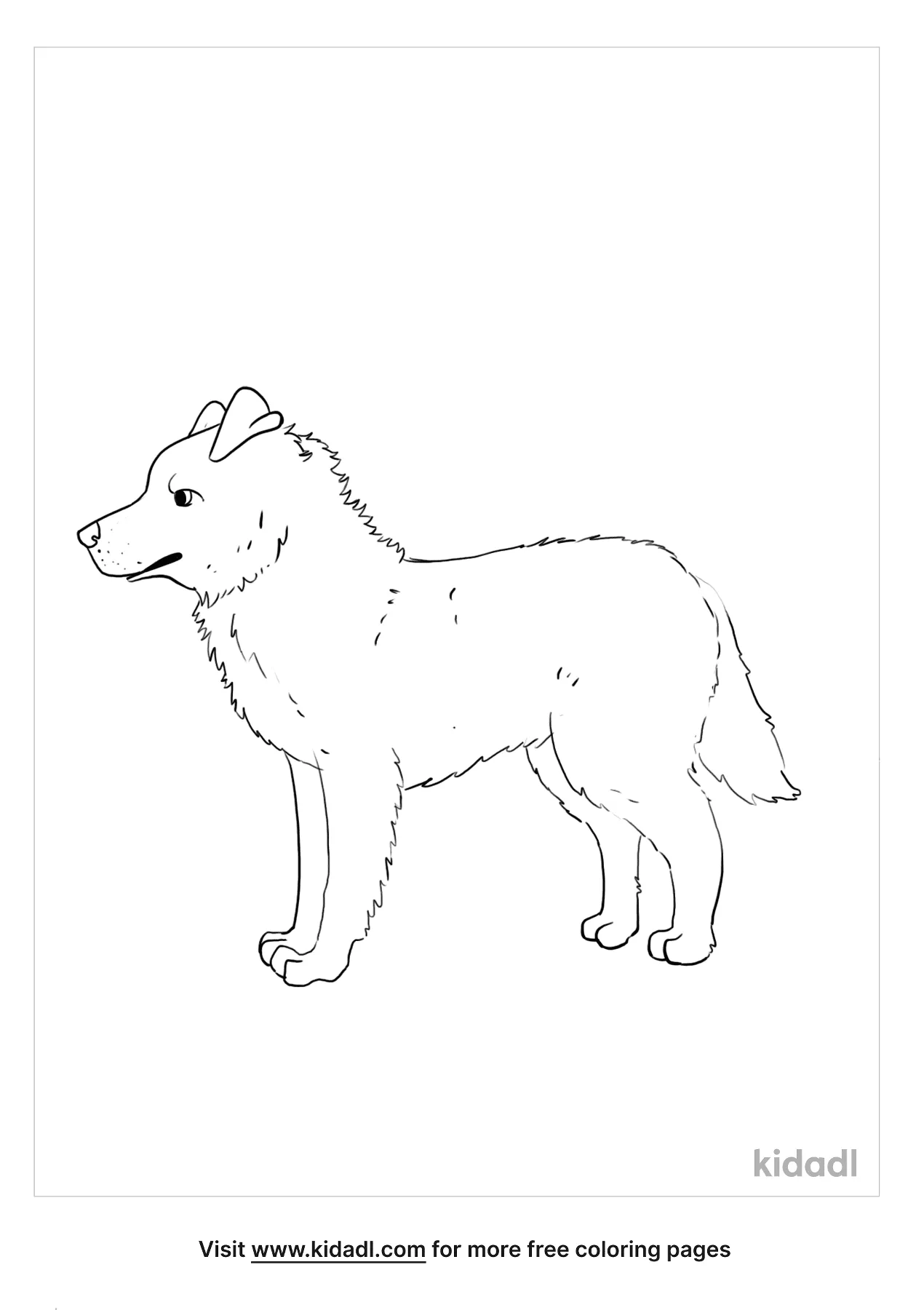 51 Australian Shepherd Coloring Page 5