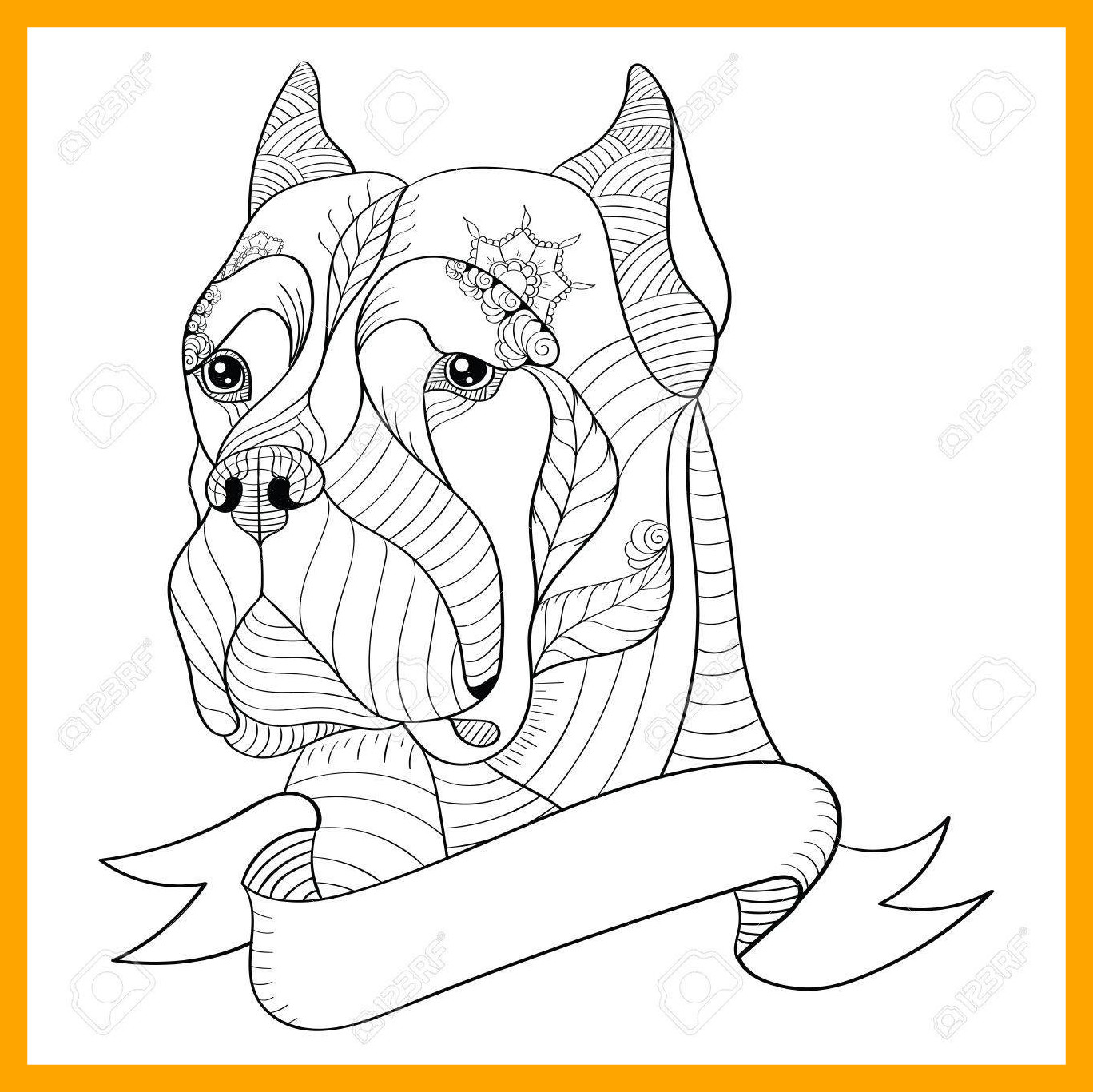 51 Australian Shepherd Coloring Page 52