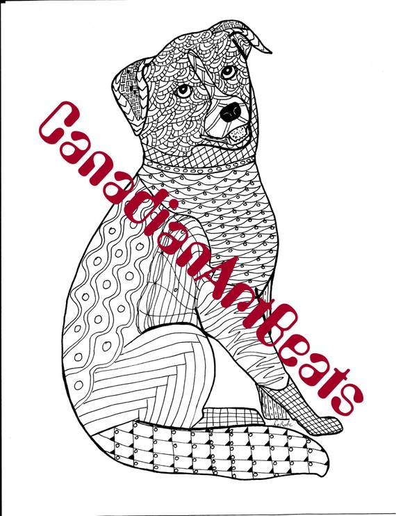 51 Australian Shepherd Coloring Page 54