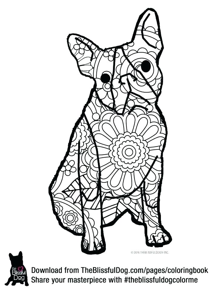 51 Australian Shepherd Coloring Page 56