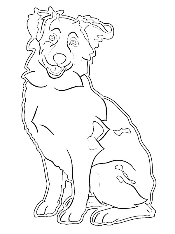 51 Australian Shepherd Coloring Page 6