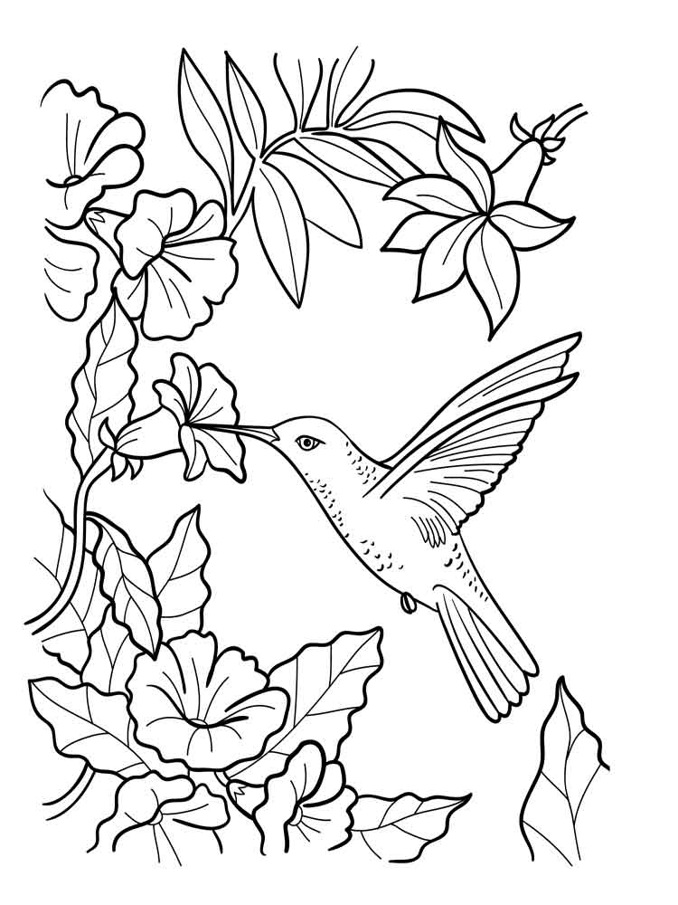 55 Adult Coloring Pages Birds 32