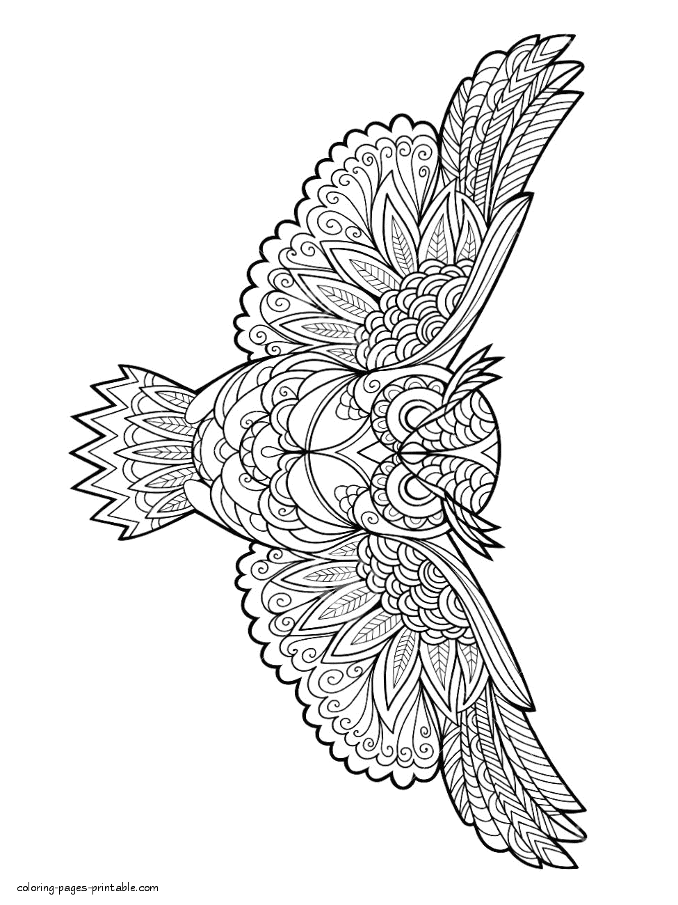 55 Adult Coloring Pages Birds 35