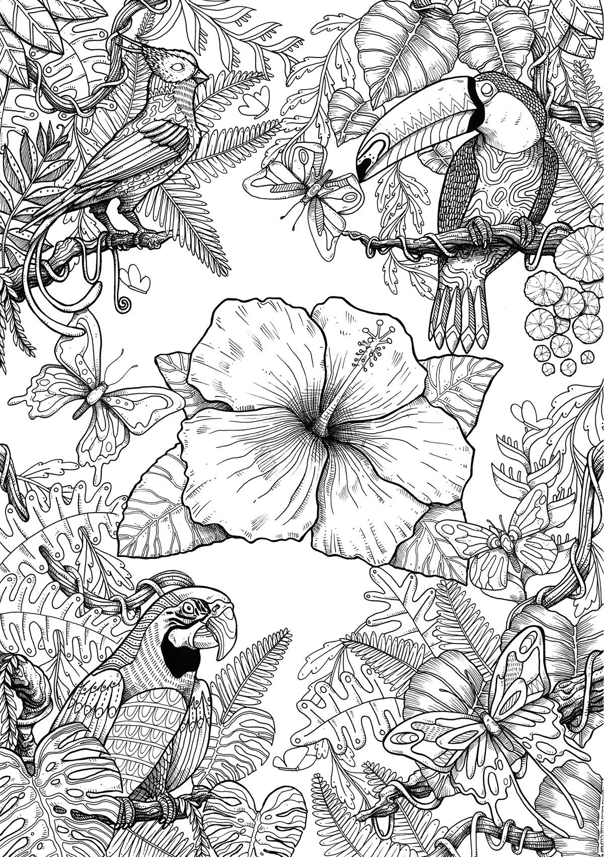 55 Adult Coloring Pages Birds 37