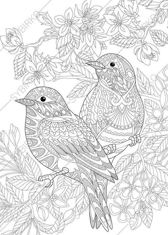 55 Adult Coloring Pages Birds 38