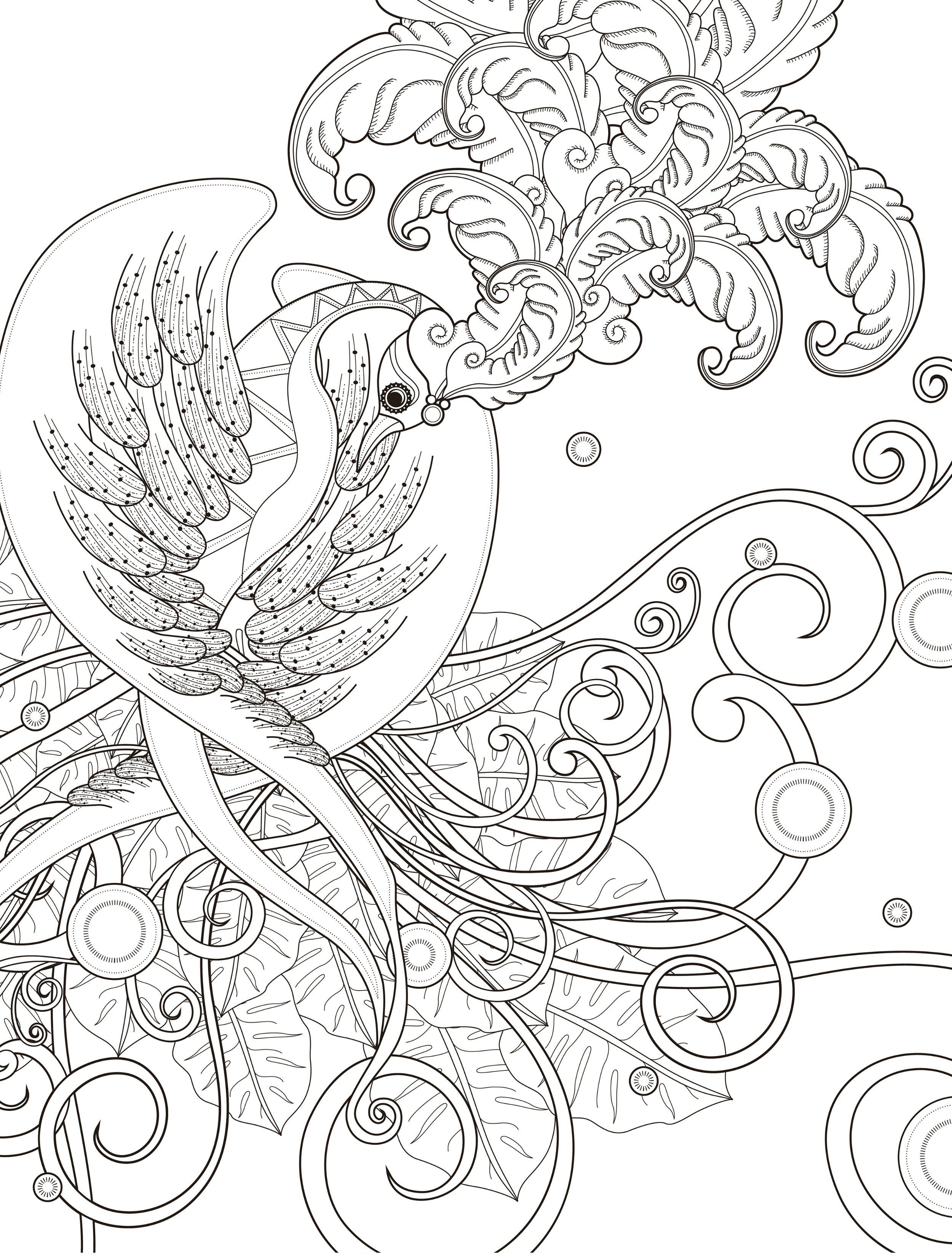 55 Adult Coloring Pages Birds 39