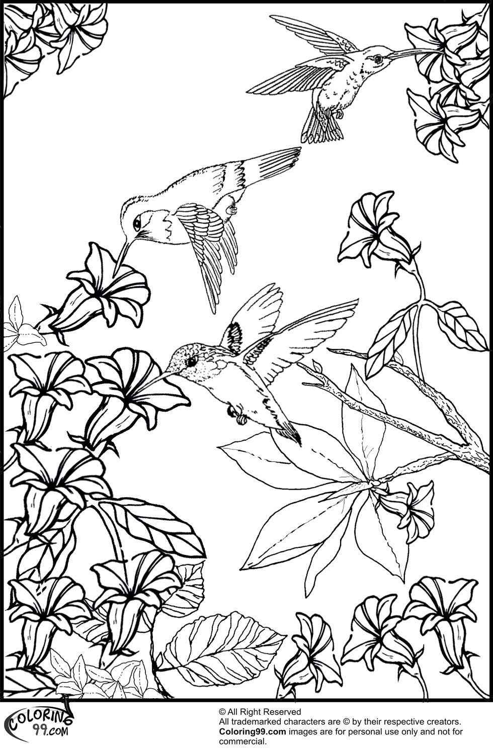 55 Adult Coloring Pages Birds 42