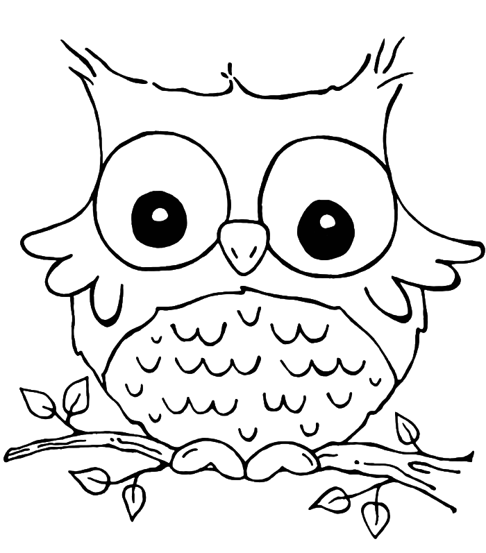 60 Nocturnal Animals Coloring Pages 10