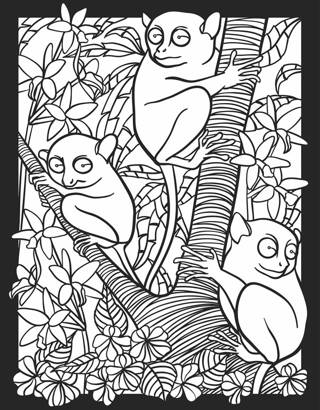 60 Nocturnal Animals Coloring Pages 12