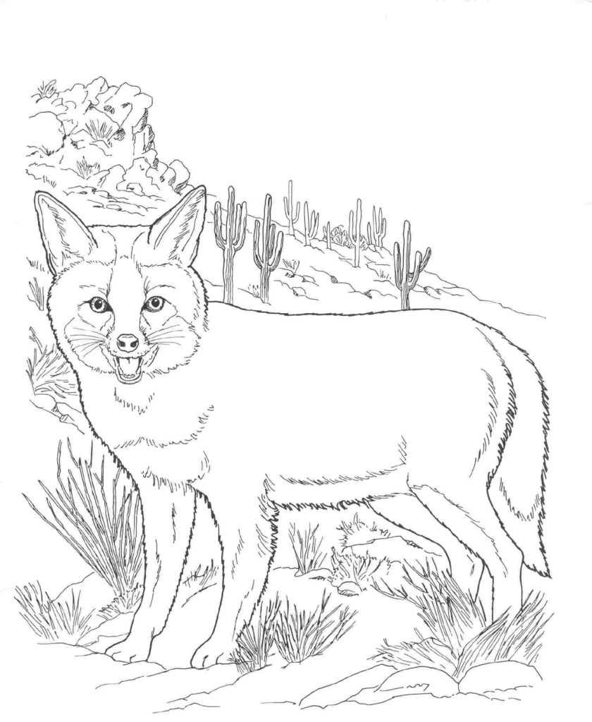 60 Nocturnal Animals Coloring Pages 13