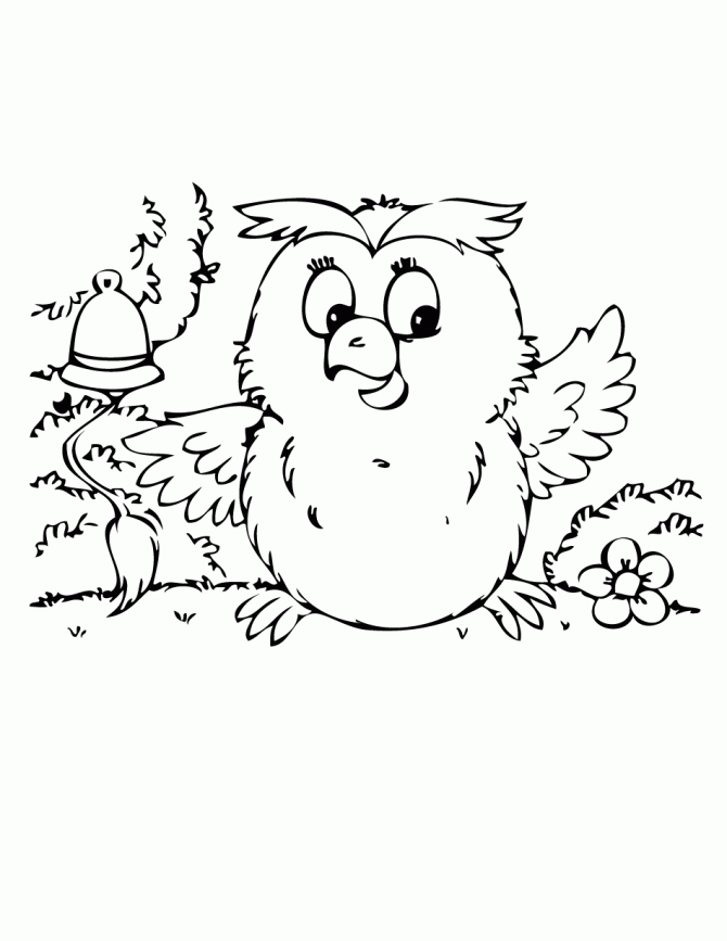 60 Nocturnal Animals Coloring Pages 15