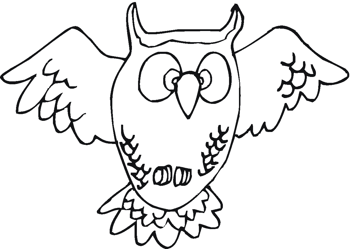 60 Nocturnal Animals Coloring Pages 19