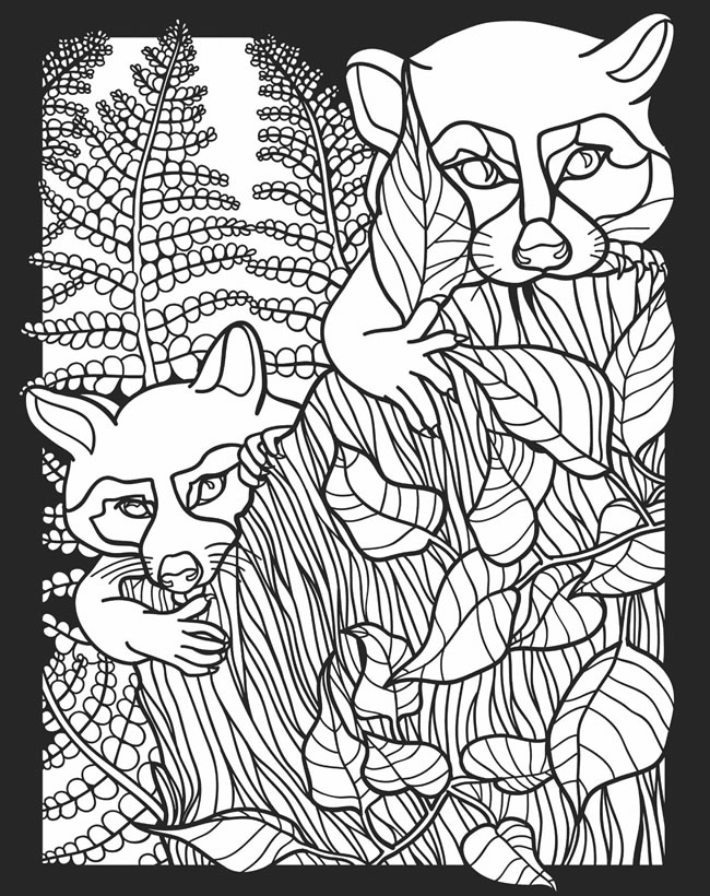 60 Nocturnal Animals Coloring Pages 2