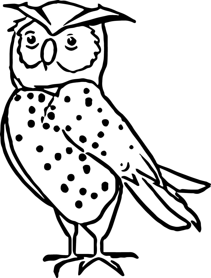60 Nocturnal Animals Coloring Pages 20