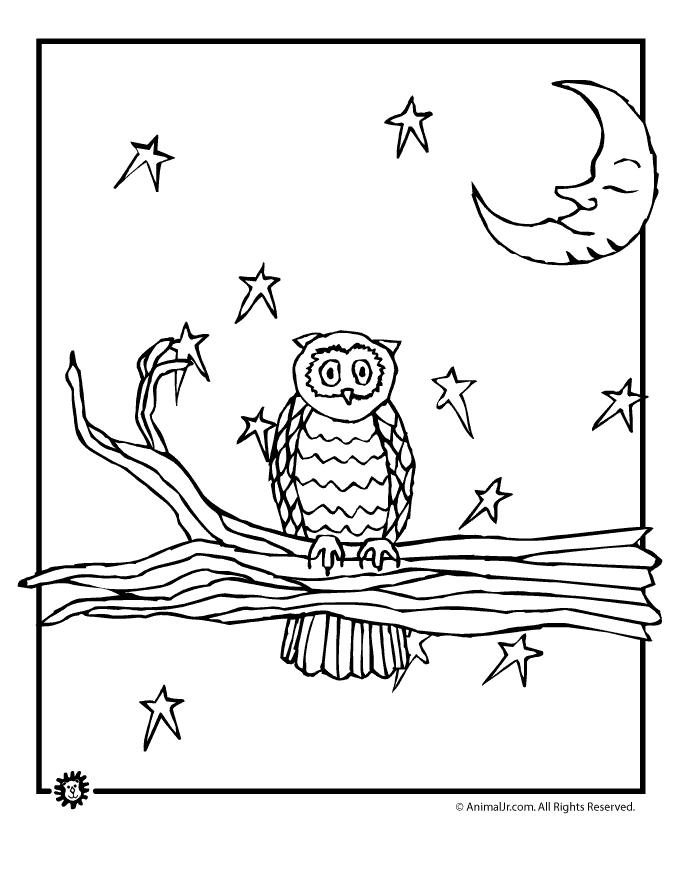 60 Nocturnal Animals Coloring Pages 22