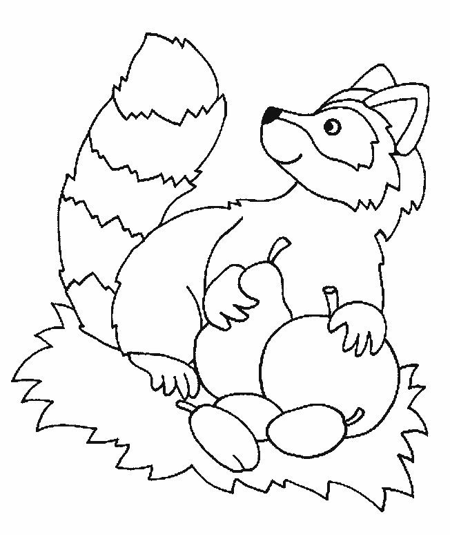 60 Nocturnal Animals Coloring Pages 23