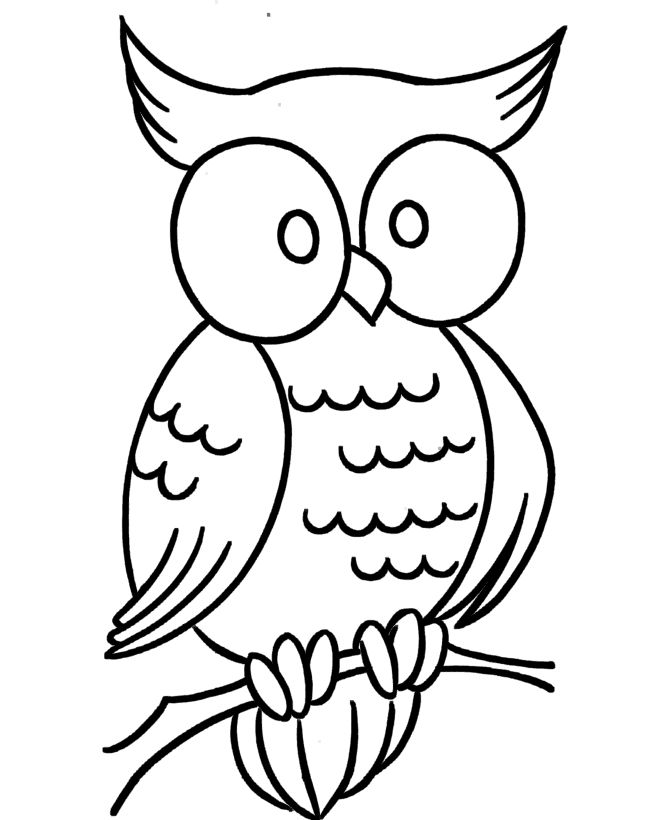 60 Nocturnal Animals Coloring Pages 26