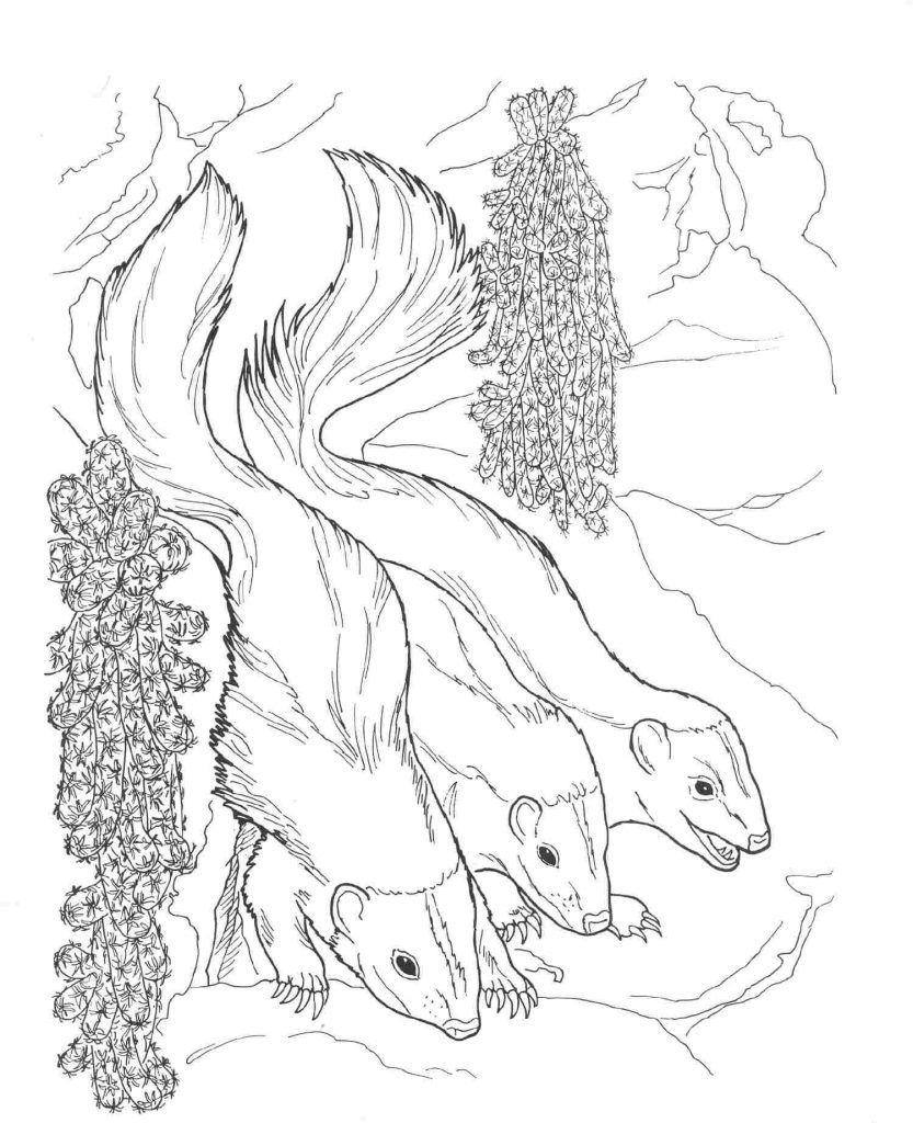 60 Nocturnal Animals Coloring Pages 37