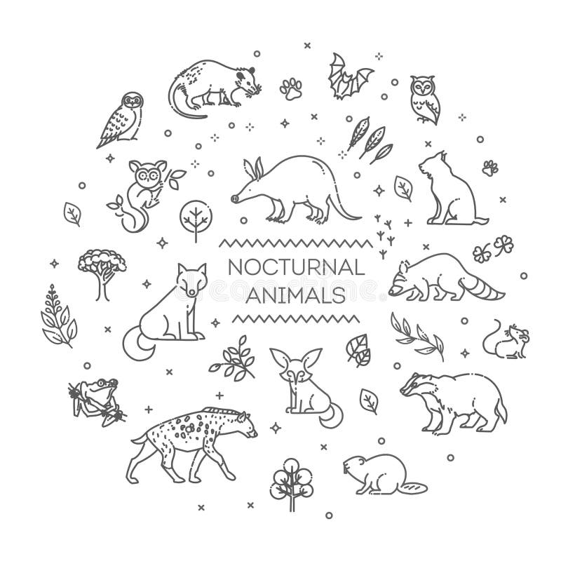 60 Nocturnal Animals Coloring Pages 44